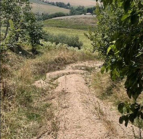 contrada mozzavinci 3