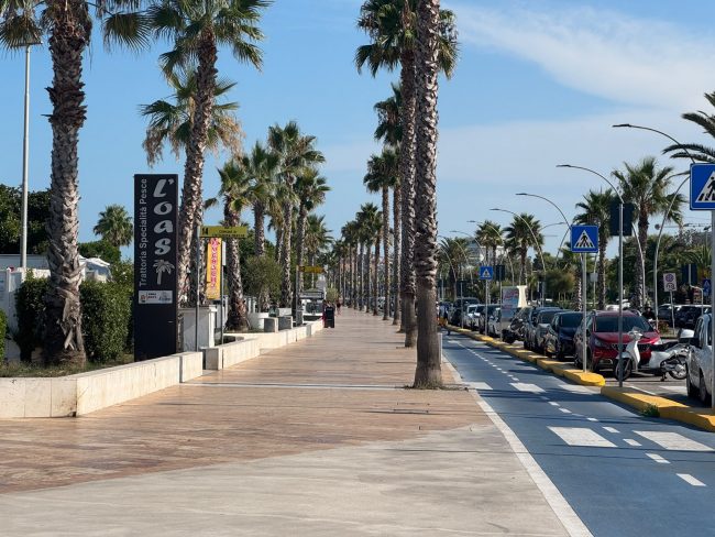 lungomare ferragosto ombrelloni civitanova (2)
