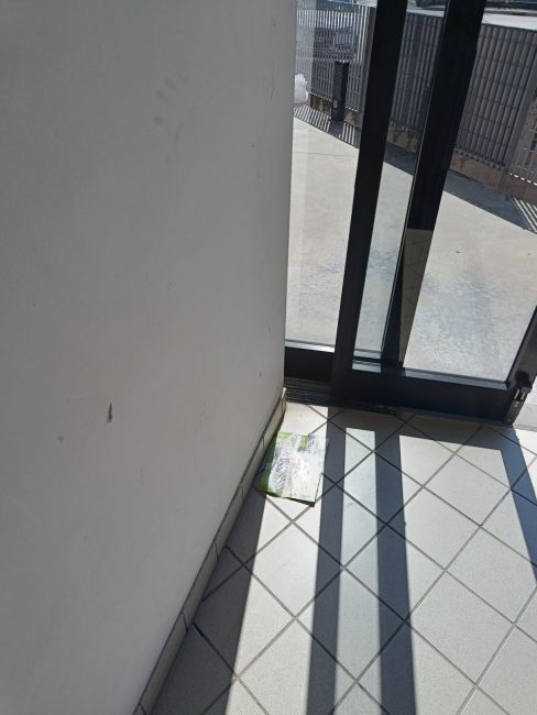 palazzo zenit posta in terra (26)