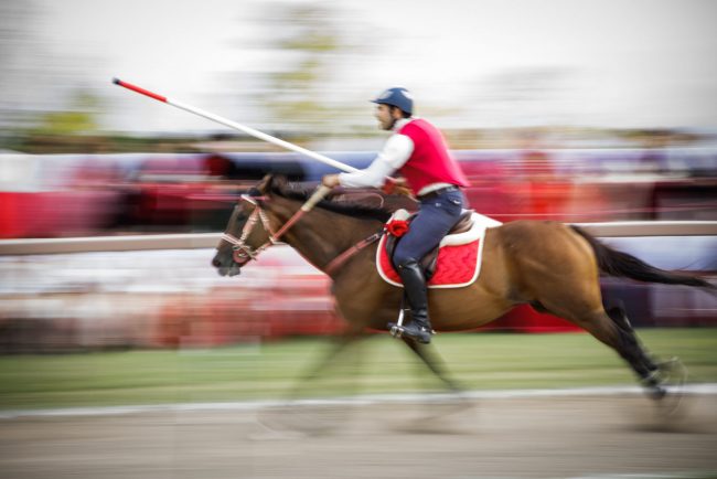 palio pacca san ginesio (4)