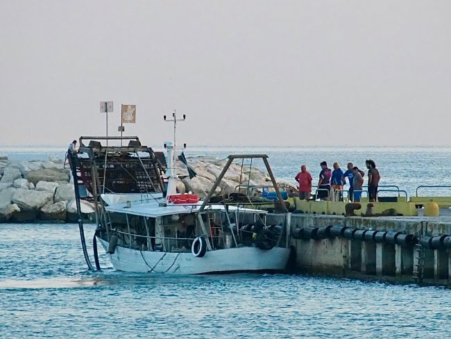 vongolare civitanova (5)