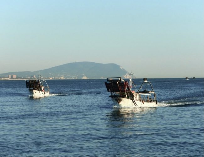 vongolare civitanova (8)