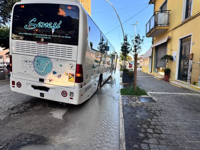 autobus corso matteotti civitanova (2)