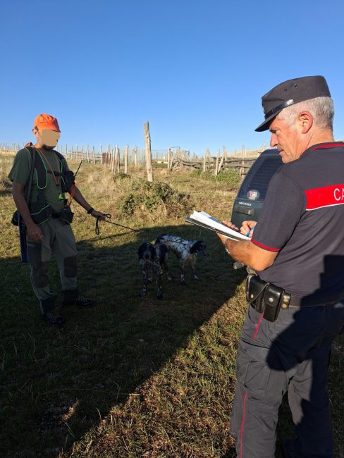 carabinieri forestali