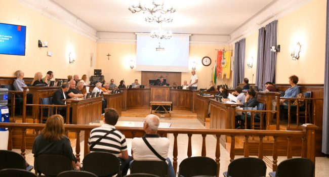 consiglio comunale bozza (8)