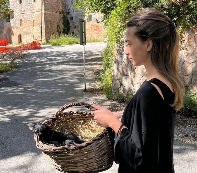 corvo angelina di monte (1)