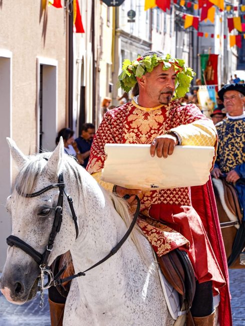 grappolo d'oro Potenza Picena 6