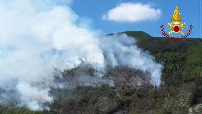 incendio bosco caldarola