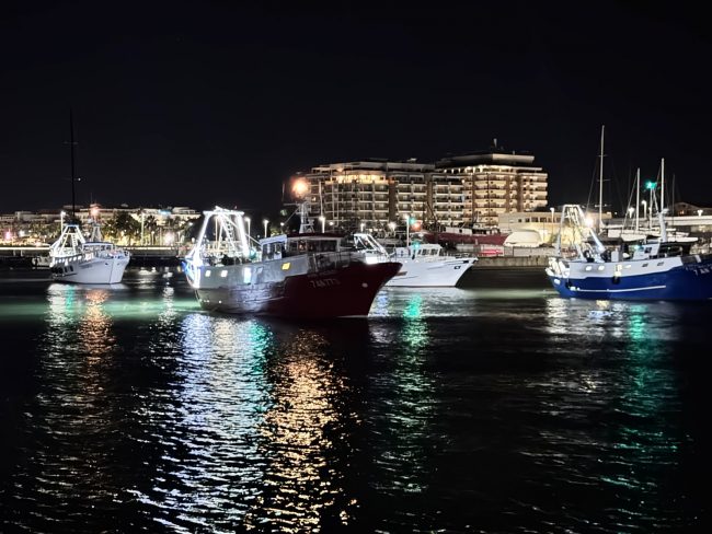 pescherecci barche civitanova fermo pesca (6)