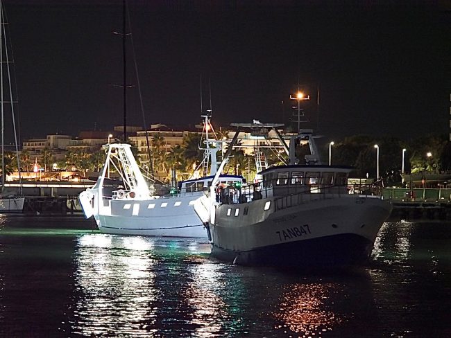 pescherecci barche civitanova fermo pesca (8)