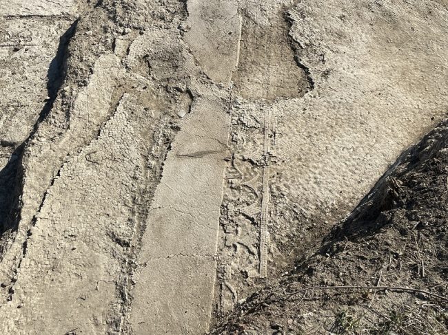 scavi tarquinia unimc (2)