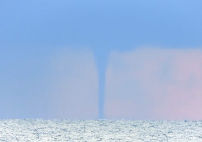 tromba marina civitanova (4)