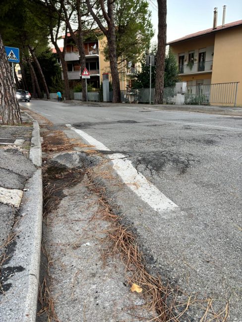 Viale Montolmo