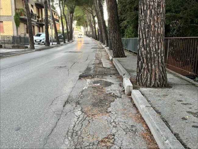 Viale Montolmo stato attuale