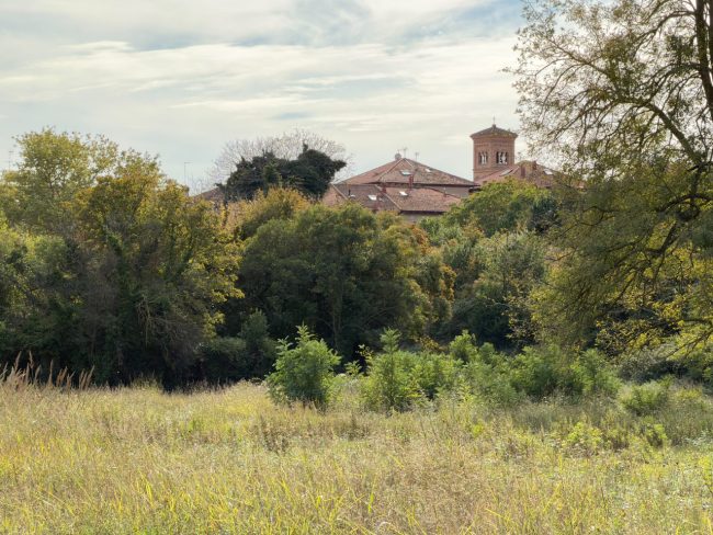 area ceccotti