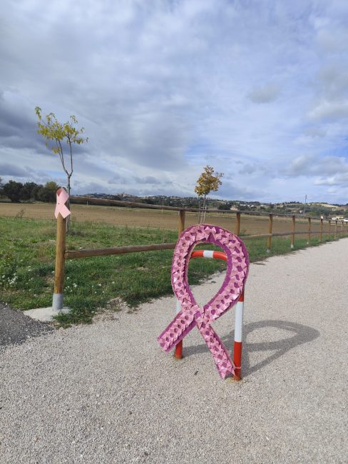 camminata in rosa edizione 20252