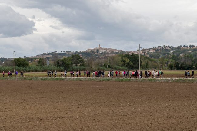 camminata in rosa edizione 20254