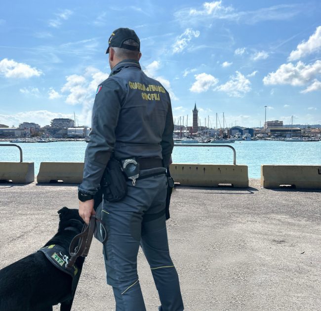 cane hanima finanza
