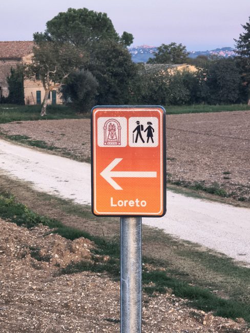 ciclabile via lauretana sforzacosta (3)