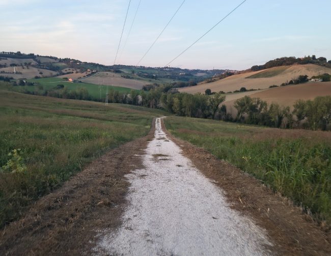 ciclabile via lauretana sforzacosta (6)