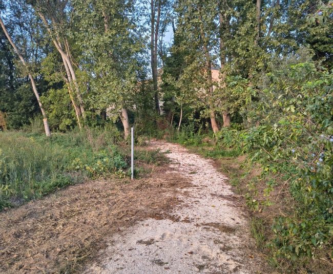 ciclabile via lauretana sforzacosta (7)