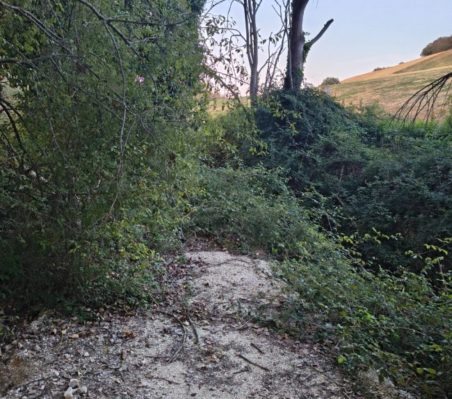 ciclabile via lauretana sforzacosta (8)