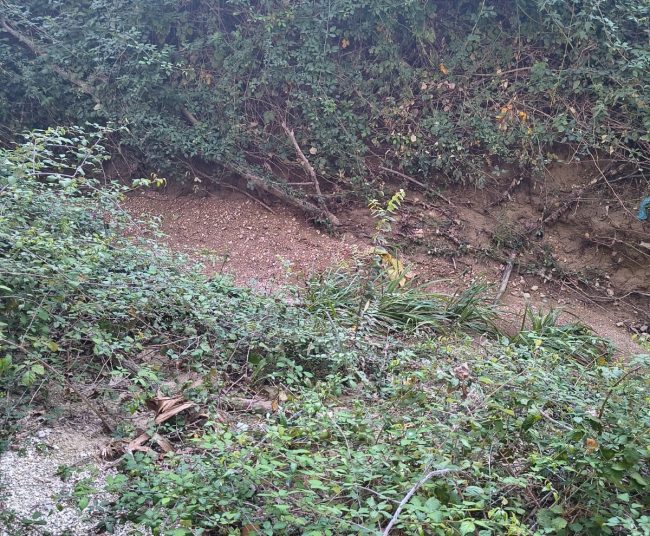 ciclabile via lauretana sforzacosta (9)