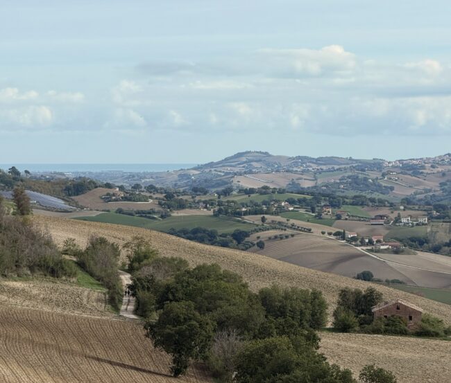 colline maceratesi