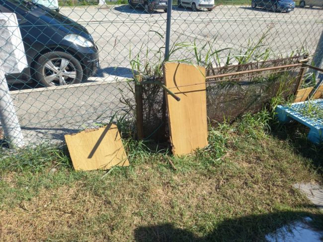 dog park civitanova (4)