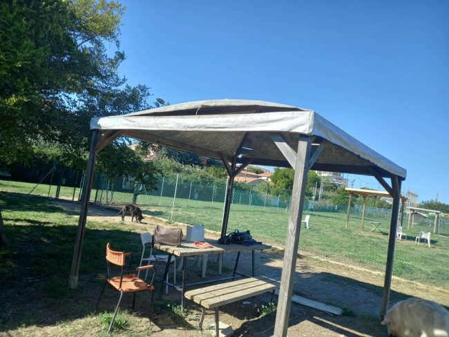 dog park civitanova (5)