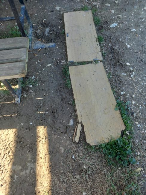 dog park civitanova (6)