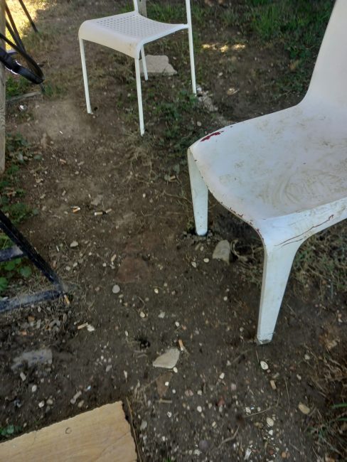 dog park civitanova (7)