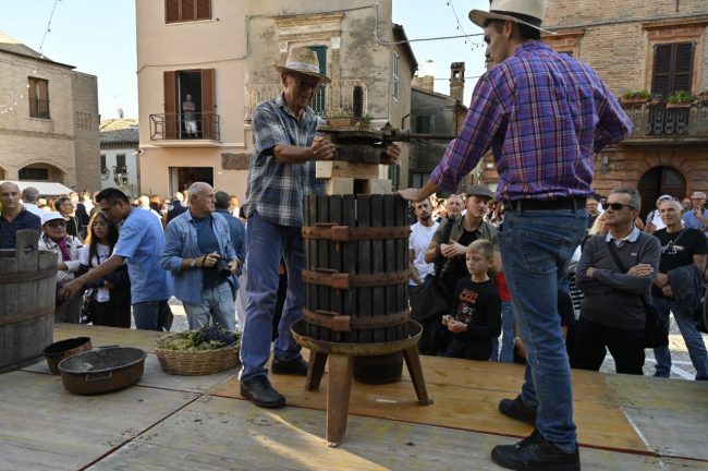 li sughitti montecassiano (8)