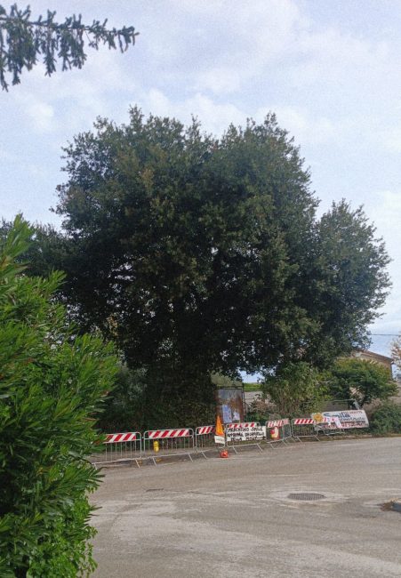 querce strada lauretana fontanelle morrovalle