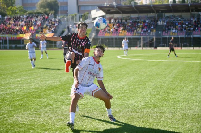 recanatese maceratese 7