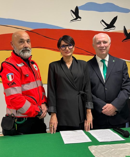 susanna salvatelli croce verde (3)