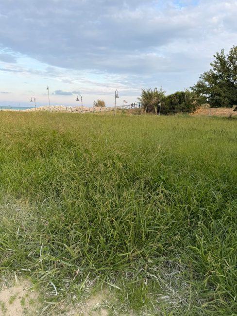 torri di avvistamento porto recanati (1)